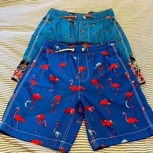 GAP kids Boys bathing suits (lot of 2)